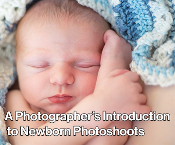 A Photographer's Introduction to Newborn Photography